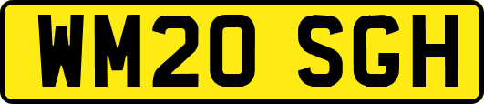 WM20SGH