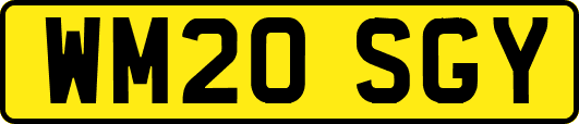 WM20SGY