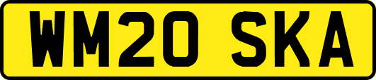 WM20SKA
