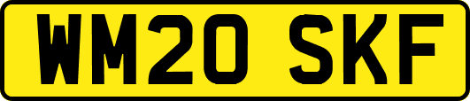 WM20SKF