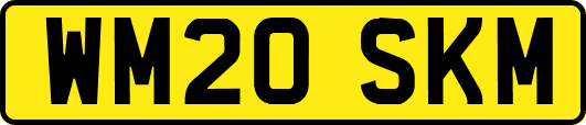 WM20SKM