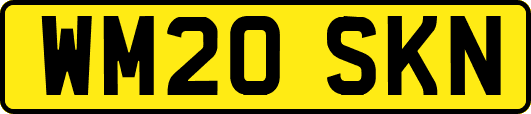 WM20SKN