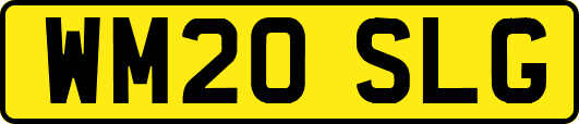WM20SLG