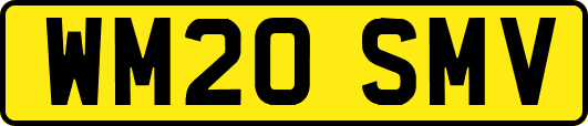 WM20SMV