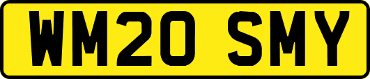 WM20SMY