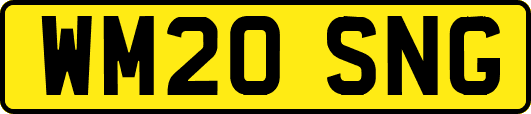 WM20SNG