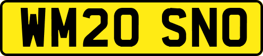 WM20SNO