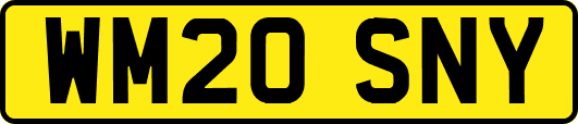 WM20SNY