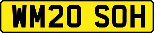 WM20SOH