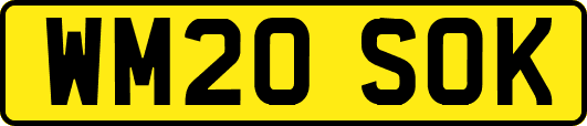 WM20SOK