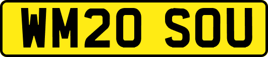 WM20SOU
