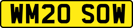 WM20SOW