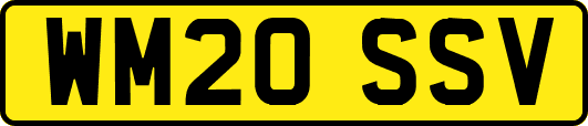 WM20SSV