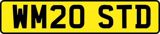 WM20STD
