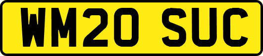 WM20SUC