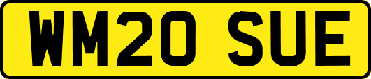 WM20SUE