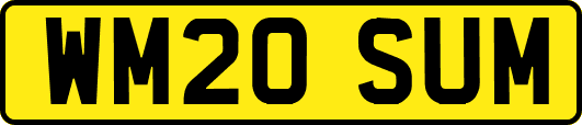WM20SUM