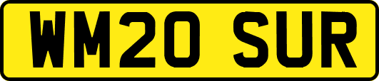 WM20SUR