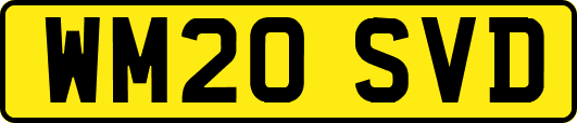 WM20SVD