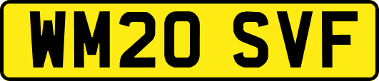WM20SVF