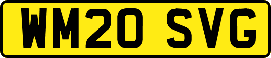 WM20SVG