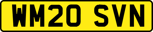 WM20SVN