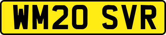 WM20SVR