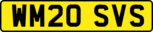 WM20SVS
