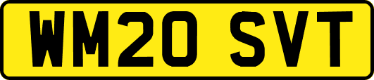 WM20SVT