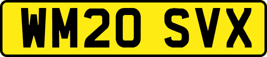 WM20SVX