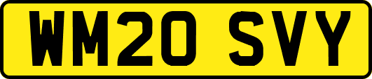 WM20SVY