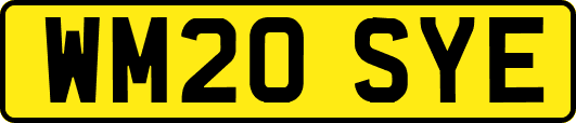 WM20SYE