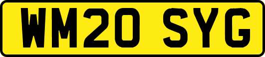 WM20SYG