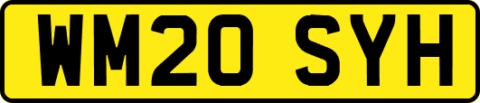 WM20SYH