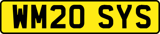 WM20SYS