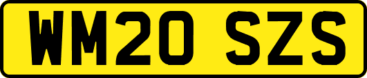 WM20SZS
