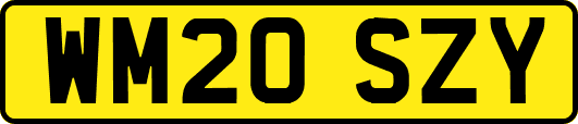 WM20SZY