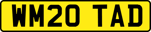 WM20TAD