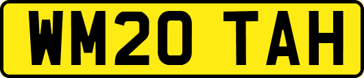WM20TAH