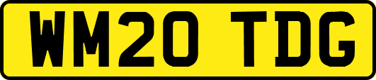 WM20TDG