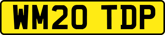 WM20TDP