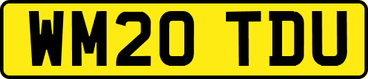 WM20TDU