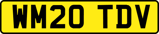 WM20TDV