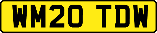 WM20TDW