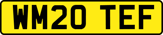 WM20TEF