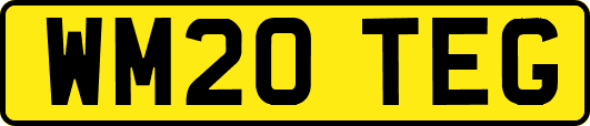 WM20TEG