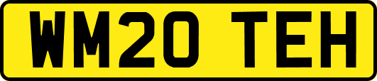 WM20TEH