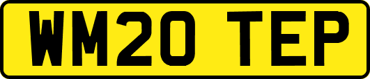 WM20TEP
