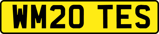 WM20TES