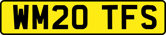 WM20TFS